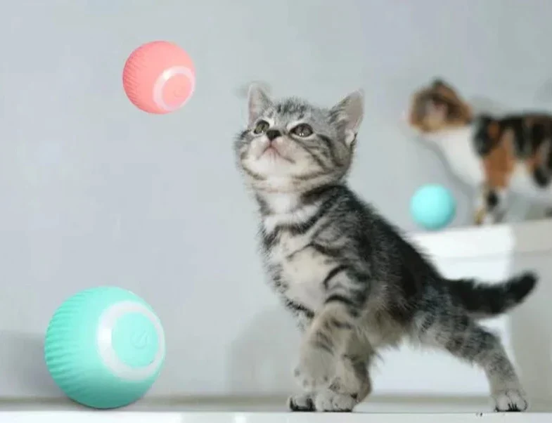 Jouet électrique interactifs pour chats - AutoBall™