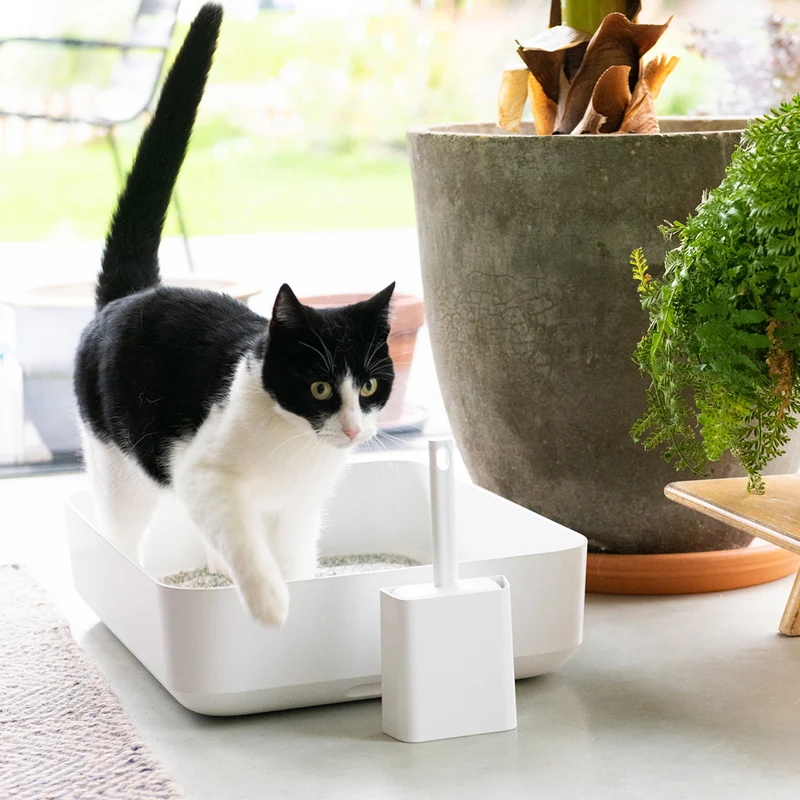 Bac à litière pour chat Poh