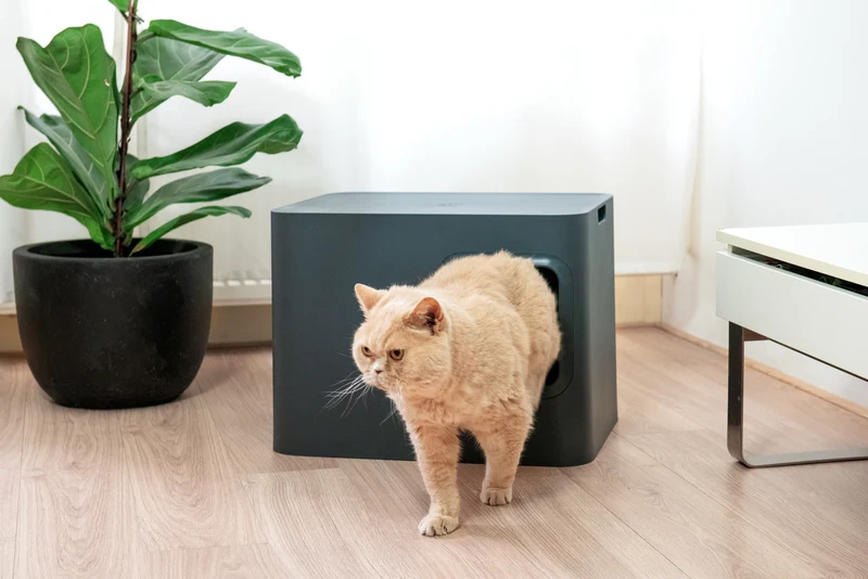 Bac à litière pour chat Hoopo® Dome