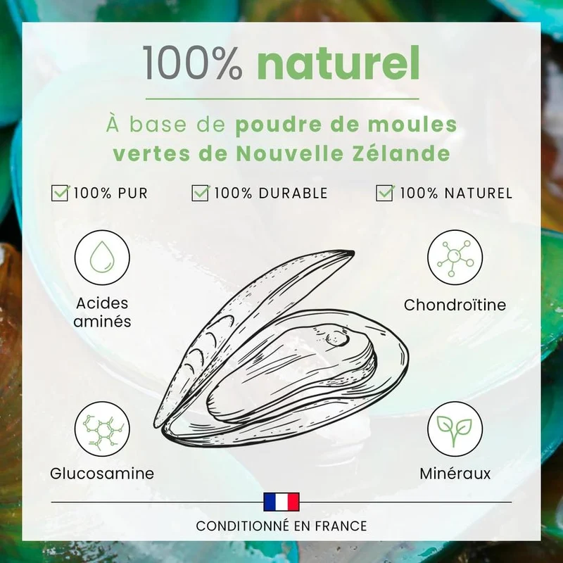 BUBIMEX Poudre de Moules Vertes Bien-Être Articulaire Chien & Chat 60g