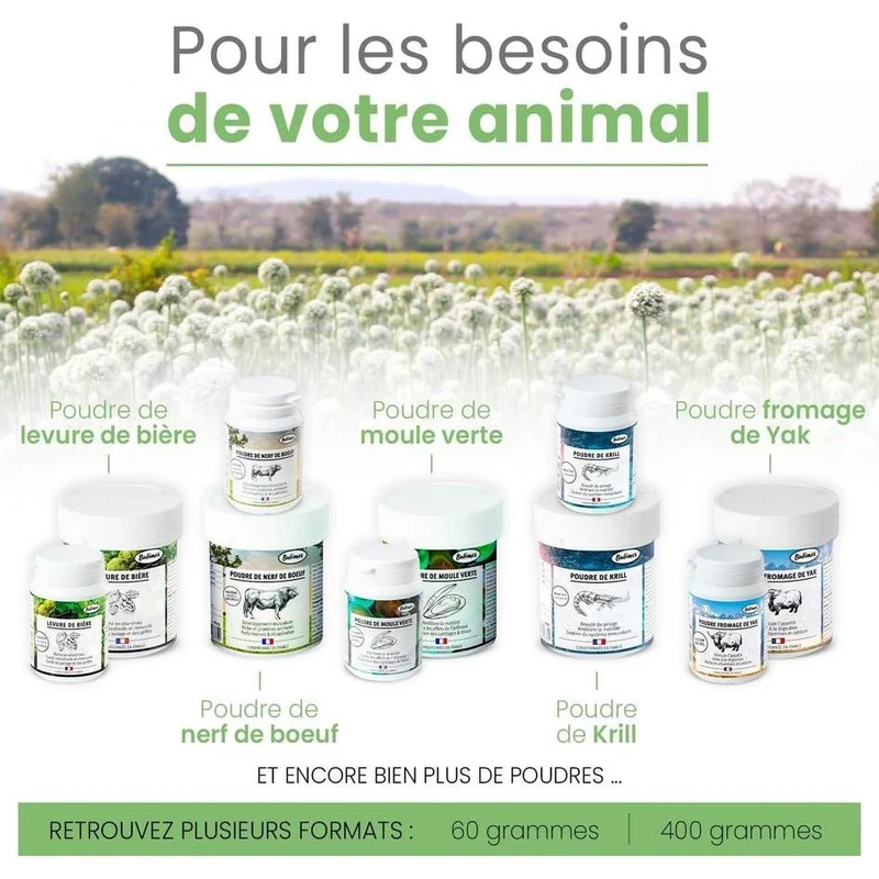 BUBIMEX Poudre de Carotte Complément Alimentaire 100% Naturel Chiens et Chats 60g