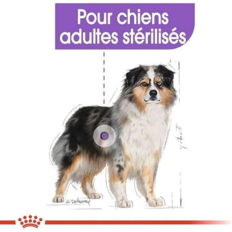 ROYAL CANIN Medium Sterilised Croquettes pour chiens stérilisés adultes races moyennes 12kg