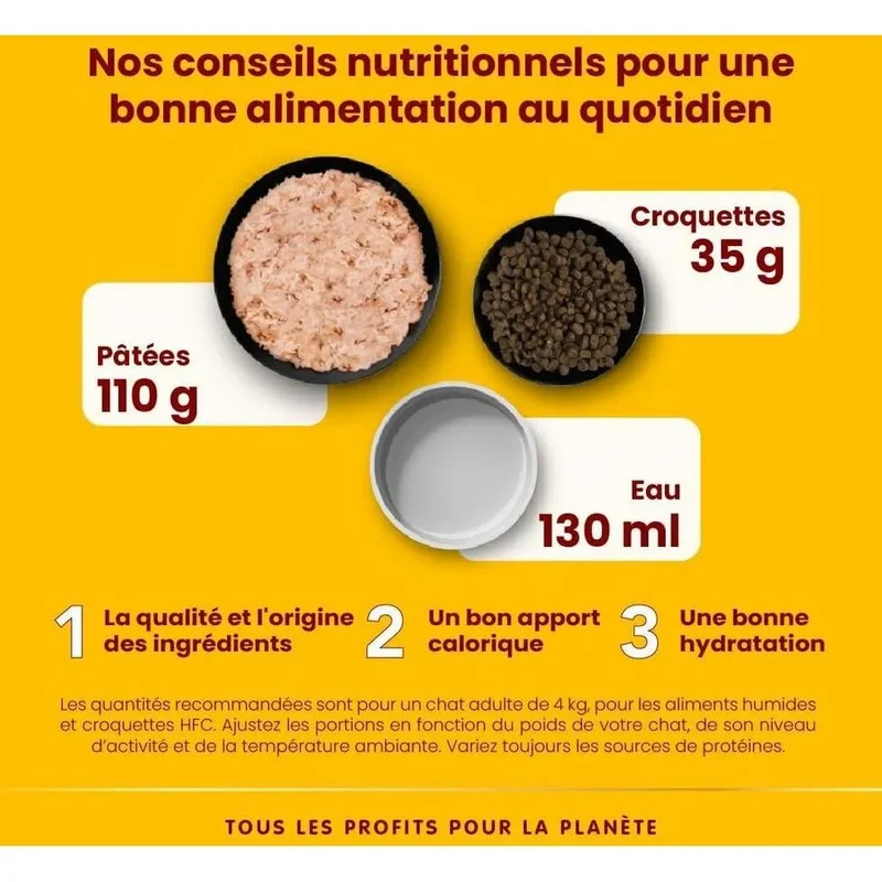 ALMO NATURE HFC Natural Thon avec Maïs 70g