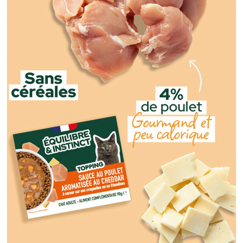 EQUILIBRE & INSTINCT Sauce au poulet aromatisée au cheddar pour chat adulte 90g