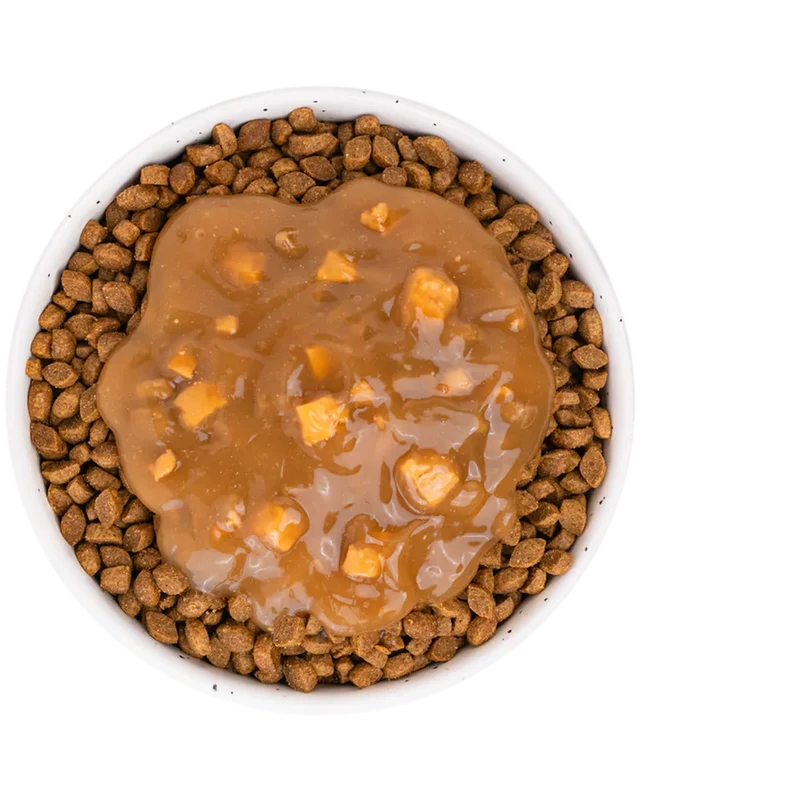 EQUILIBRE & INSTINCT Sauce au poulet aromatisée au cheddar pour chat adulte 90g