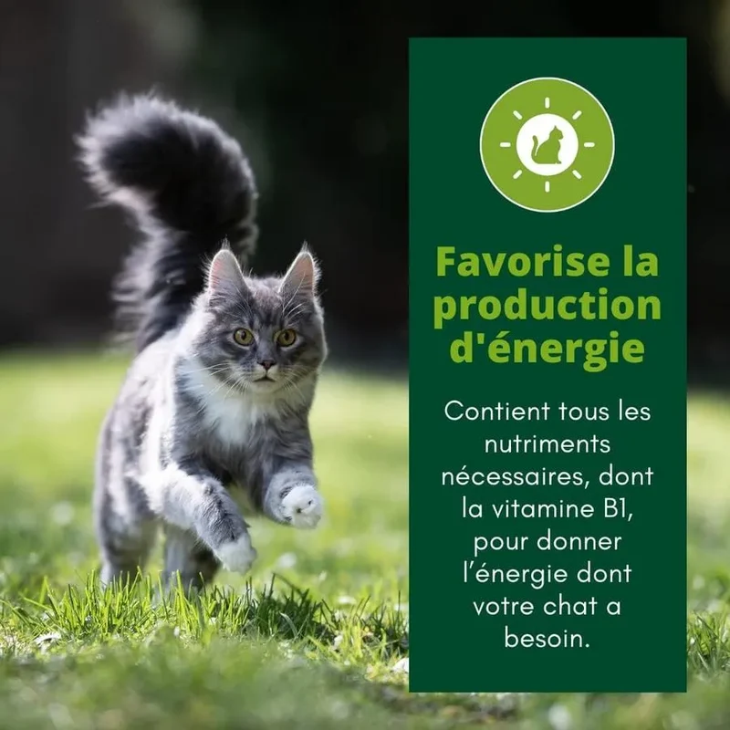 EQUILIBRE & INSTINCT Effilés énergie chat stérilisé au poulet, courges, agrumes 12x85g