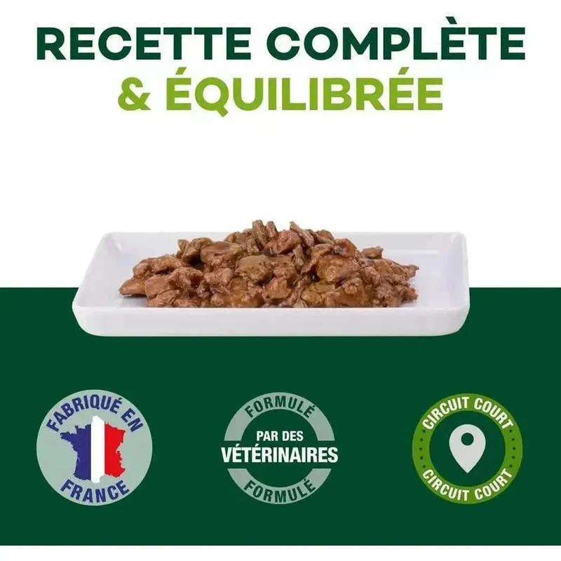 EQUILIBRE & INSTINCT Effilés Sensation Chat Stérilisé Saumon Ananas Cranberries 12x85g