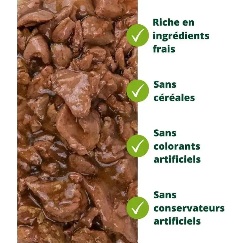 EQUILIBRE & INSTINCT Effilés Sensation Chat Stérilisé Saumon Ananas Cranberries 12x85g