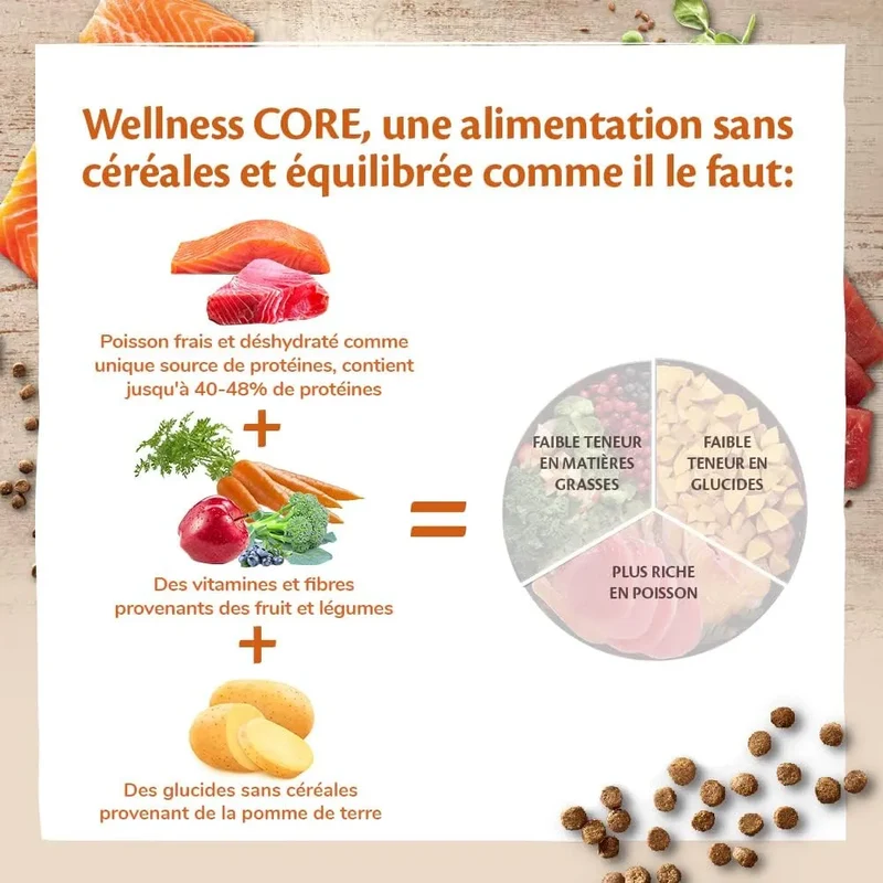 WELLNESS CORE Chat Croquettes Ocean Saumon & Thon