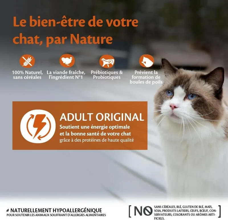 WELLNESS CORE Original Croquettes Chat Dinde Poulet