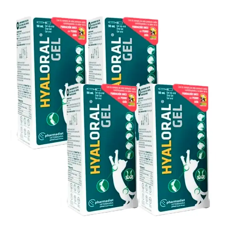 Hyaloral Gel for Puppies Cats, Pack 4 x 50 ml