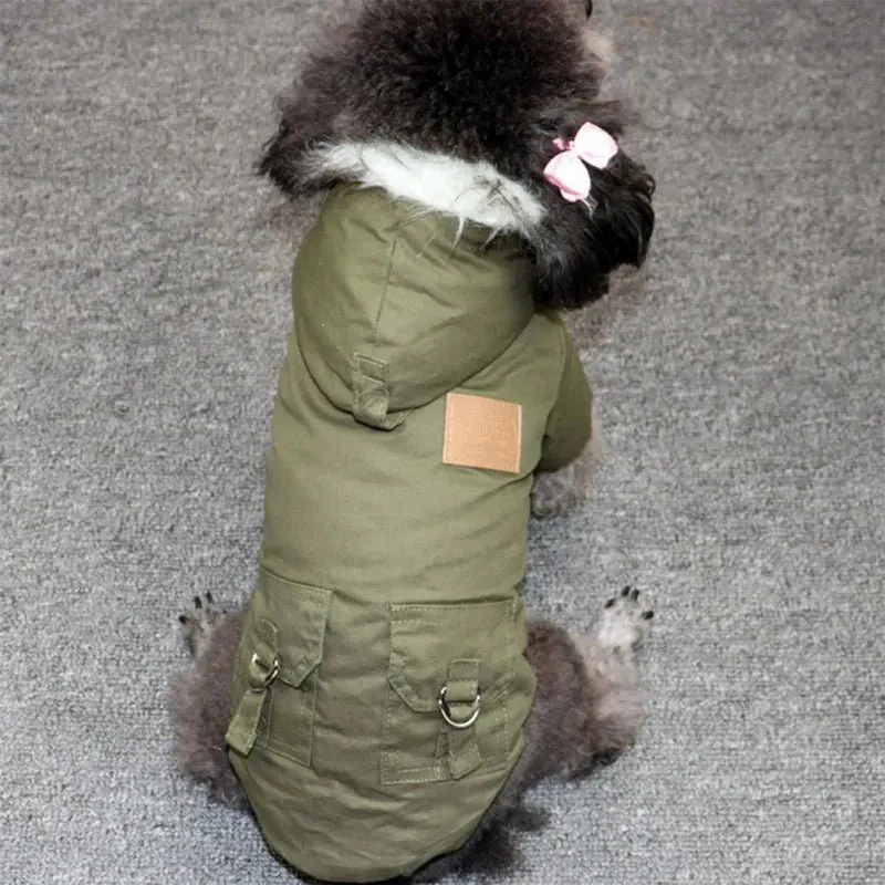Manteau À Capuche Coupe-Vent Pour Petit Et Moyen Chien