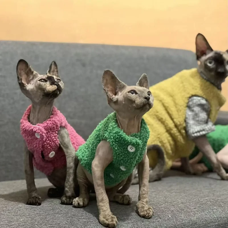 Gilet Polaire Effet Laine D Agneau Pour Chat