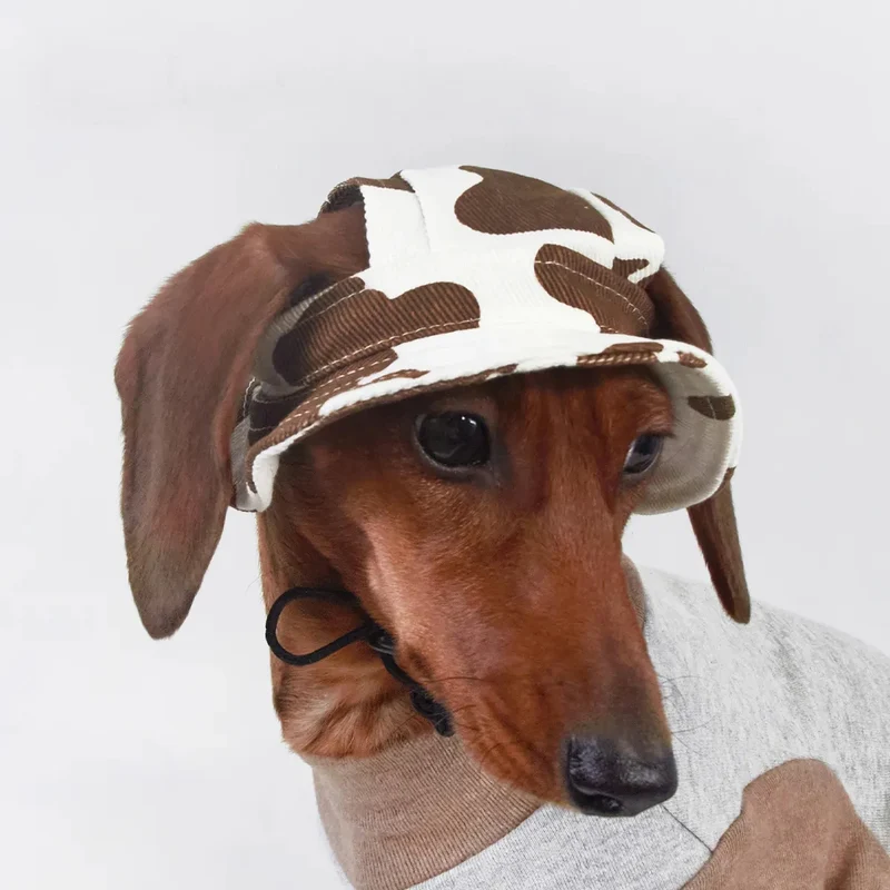 Chapeau Solaire Pour Chien Réglable Respirant Et Léger - Les Bonnes Affaires