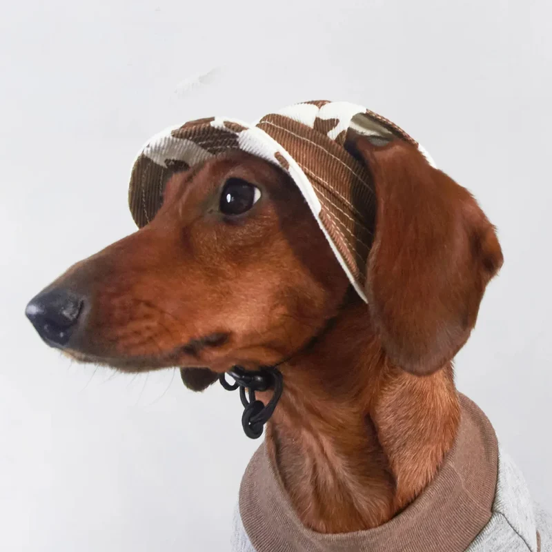 Chapeau Solaire Pour Chien Réglable Respirant Et Léger - Les Bonnes Affaires
