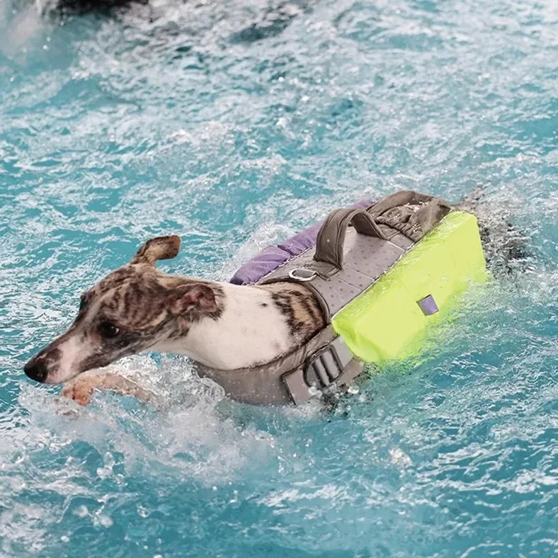 Gilet De Sauvetage Réfléchissant Ajustable Pour Grand Chien