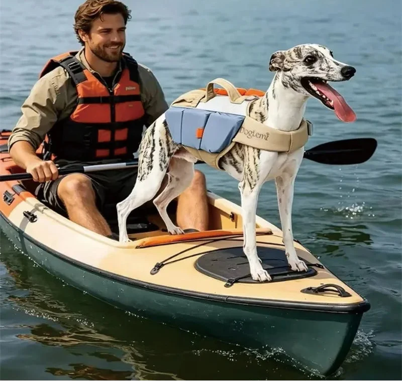 Gilet De Sauvetage Réfléchissant Ajustable Pour Grand Chien