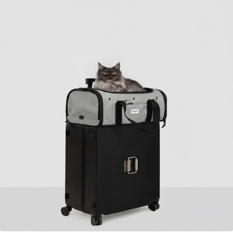 Sac De Transport Pour Chat Et Chien Léger Grand Capacité