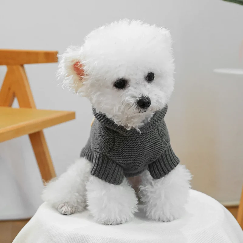 Pull étoile de mer gris foncé, Pour Petit Chien