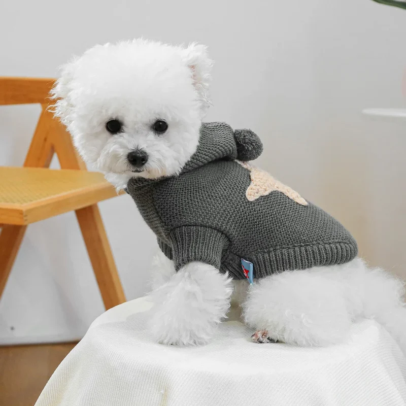 Pull étoile de mer gris foncé, Pour Petit Chien
