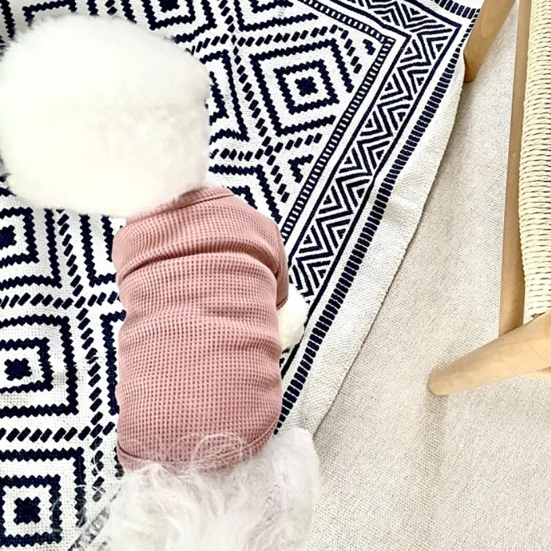 T-shirt Pour Chien
