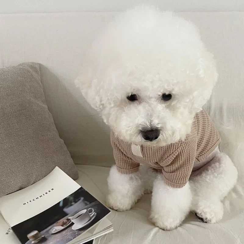 T-shirt Pour Chien