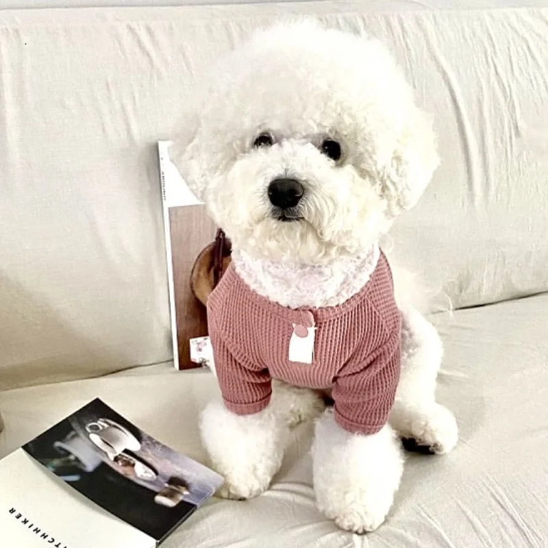 T-shirt Pour Chien
