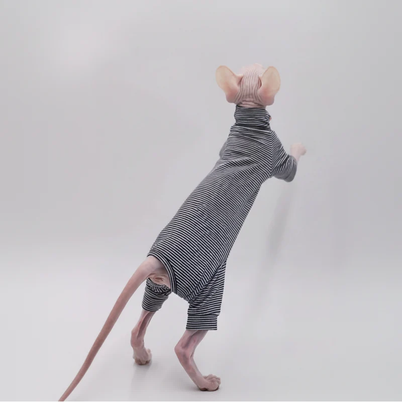 T-Shirt Rayé Confortable Pour Chat Sphynx