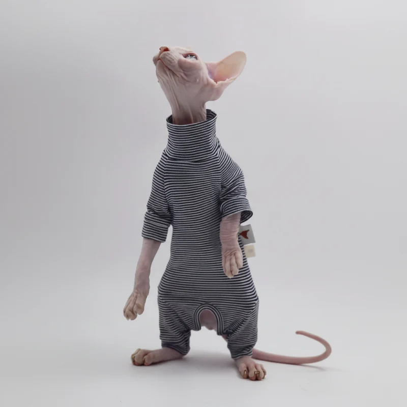 T-Shirt Rayé Confortable Pour Chat Sphynx