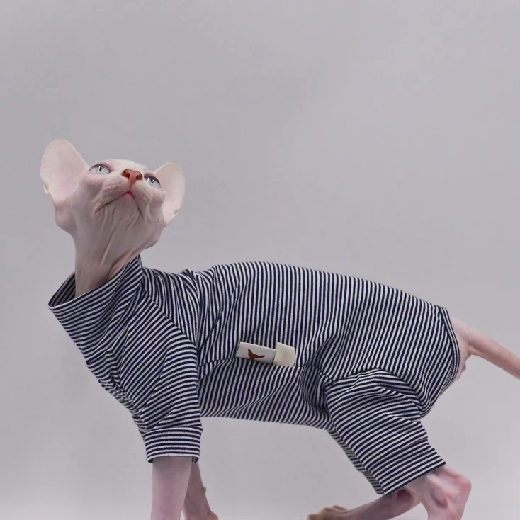 T-Shirt Rayé Confortable Pour Chat Sphynx