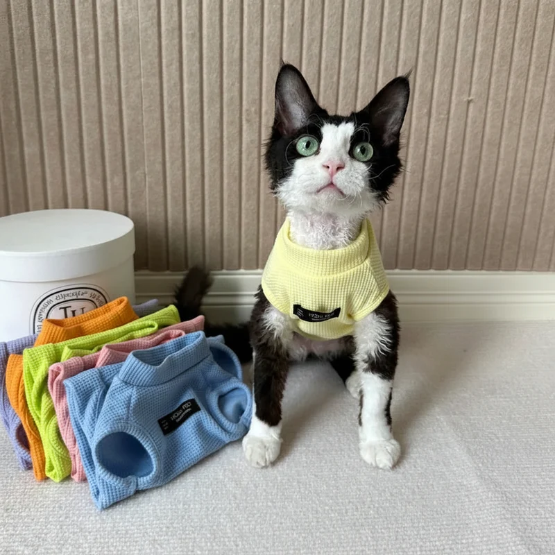 T-Shirt Confortable Gaufré Pour Chat