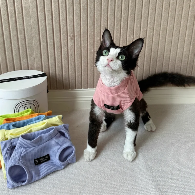 T-Shirt Confortable Gaufré Pour Chat