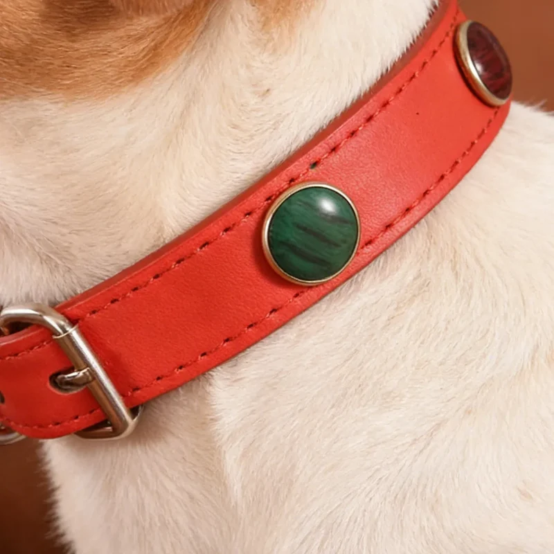 Collier En Cuir Avec Pierres Colorées Pour Petits Chiens