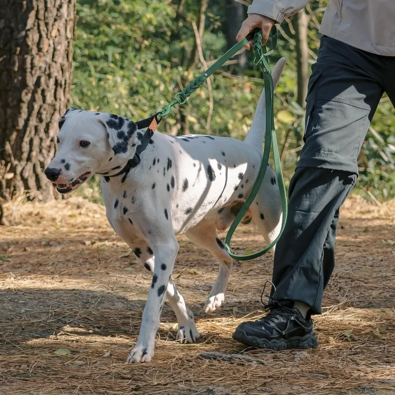 Laisse Pour Chien En Cuir Mains Libres Double Poignée