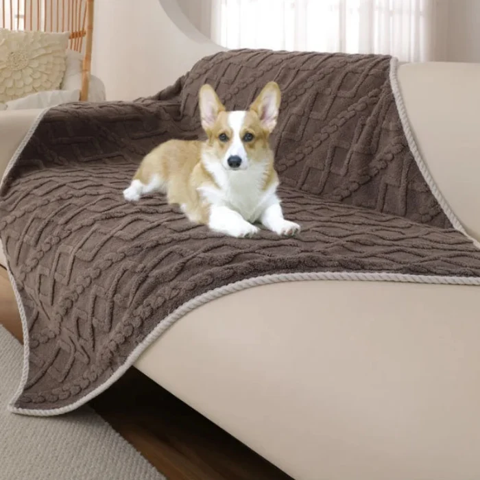 Couverture Pour Chien Et Chat