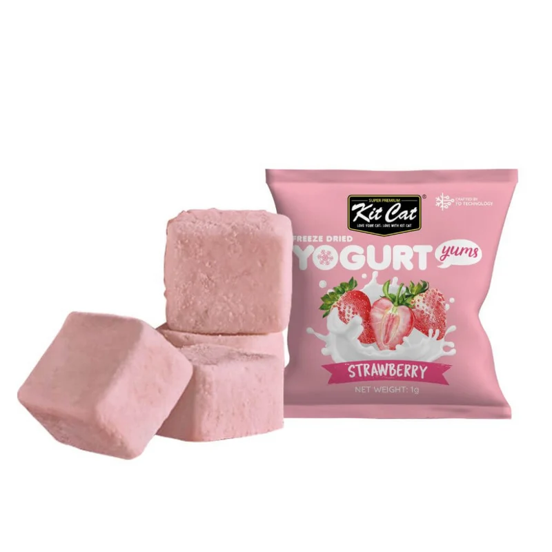 Yogurt Yums Fresa 10g - Snack Liofilizado