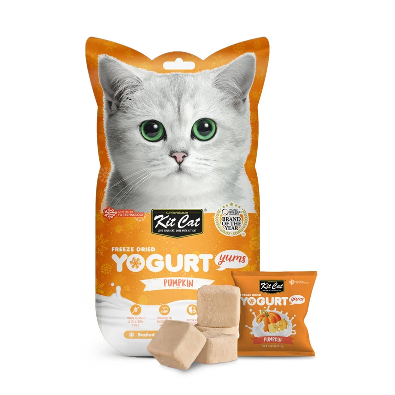 Yogurt Yums Calabaza 10g - Snack Liofilizado