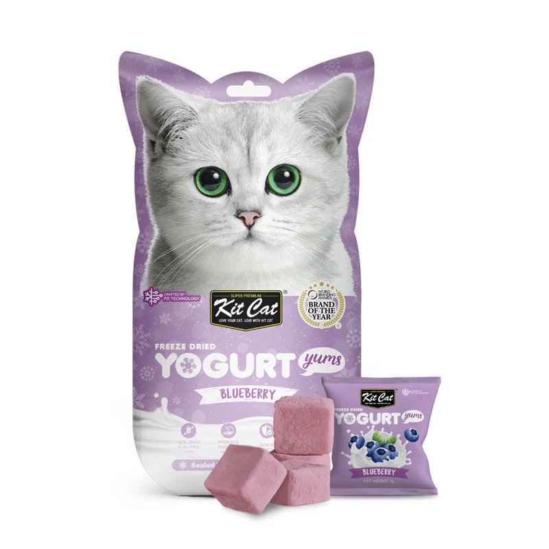 Yogurt Yums Arándano 10g - Snack Liofilizado