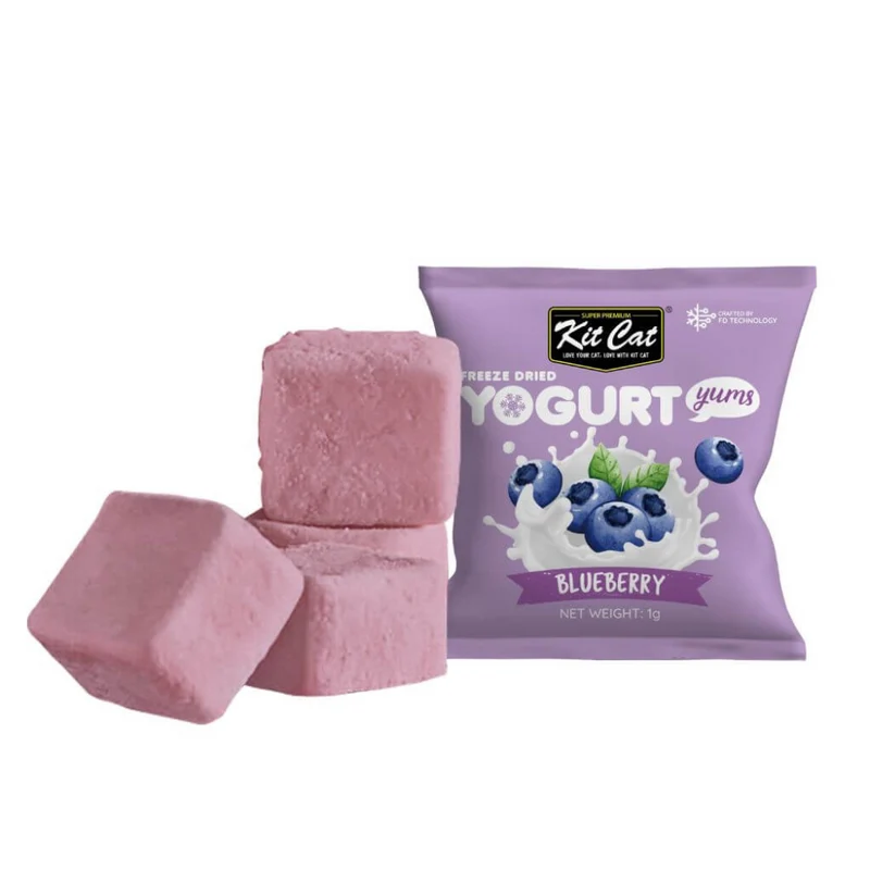 Yogurt Yums Arándano 10g - Snack Liofilizado