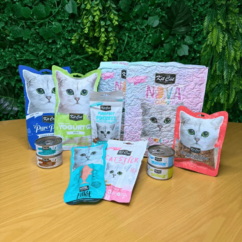 Pack PRUÉBALOTODO de Kit Cat