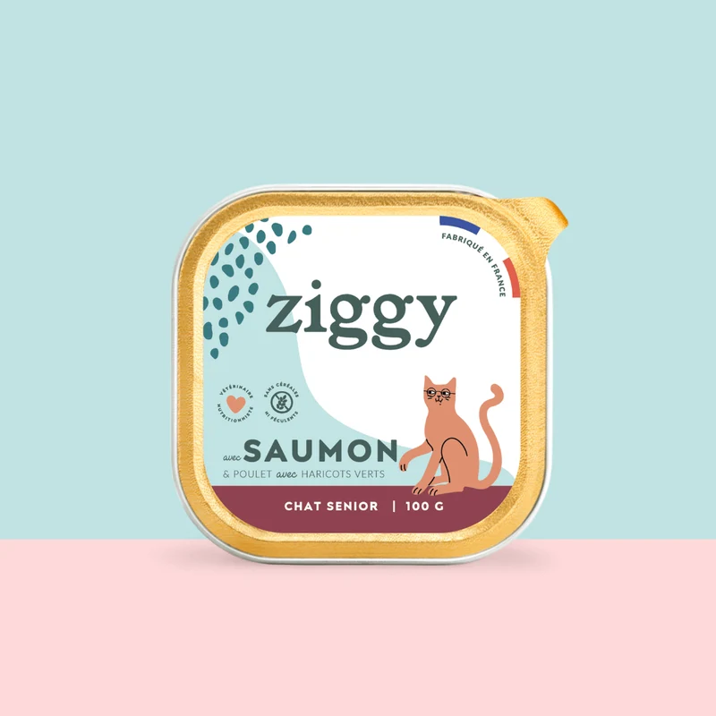 Pâtée Chat Senior Sans Céréales - Saumon