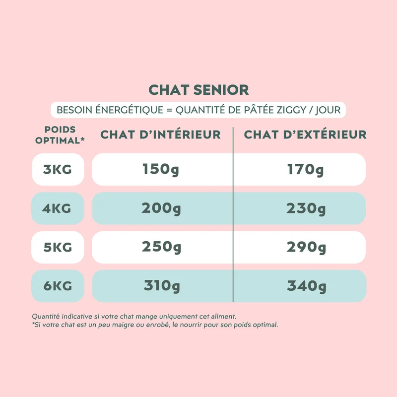 Pâtée Chat Senior Sans Céréales - Saumon