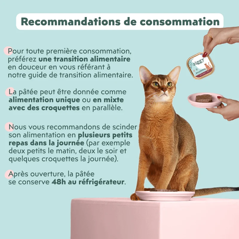 Pâtée Chat Senior Sans Céréales - Saumon