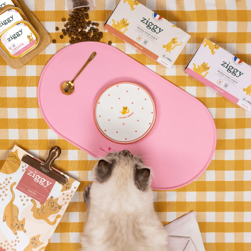 Assiette - Chaton d'Amour