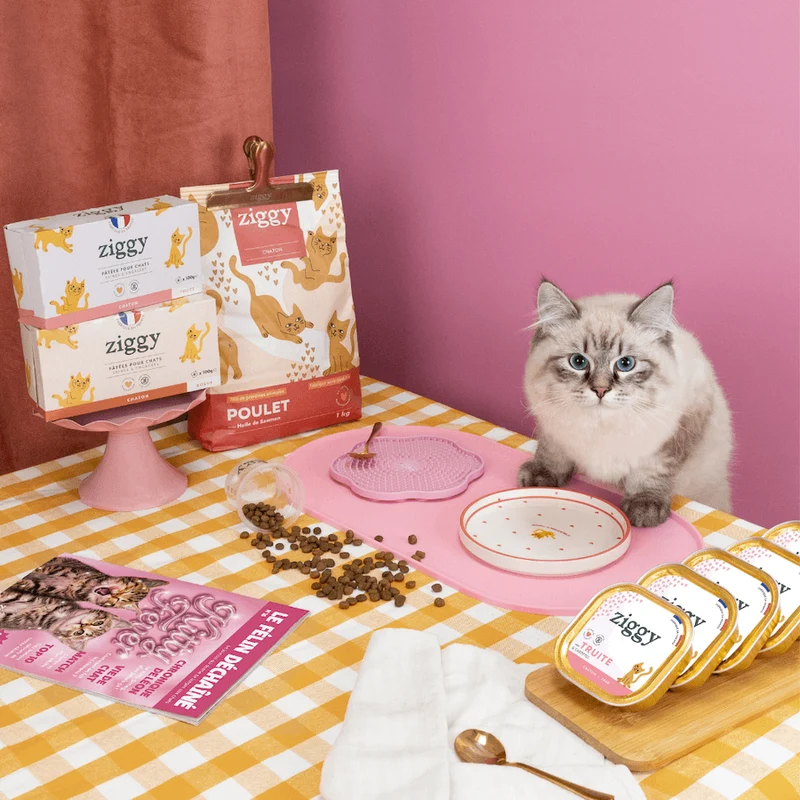Assiette - Chaton d'Amour