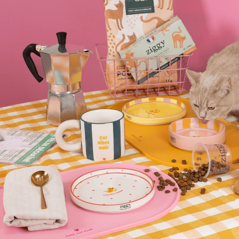 Mug - Cat Vibes Only