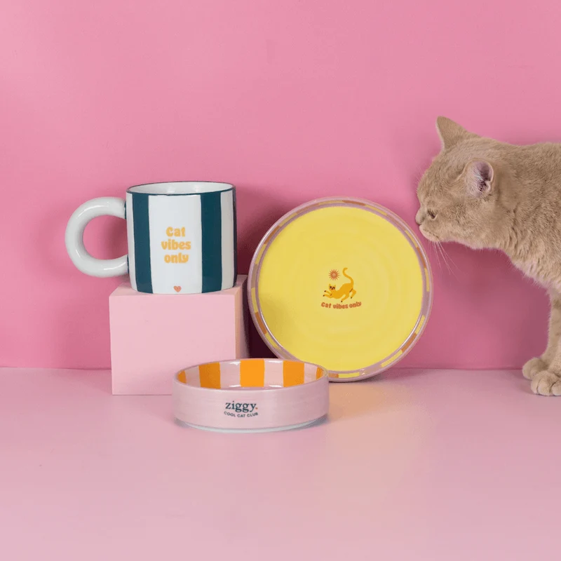 Mug - Cat Vibes Only