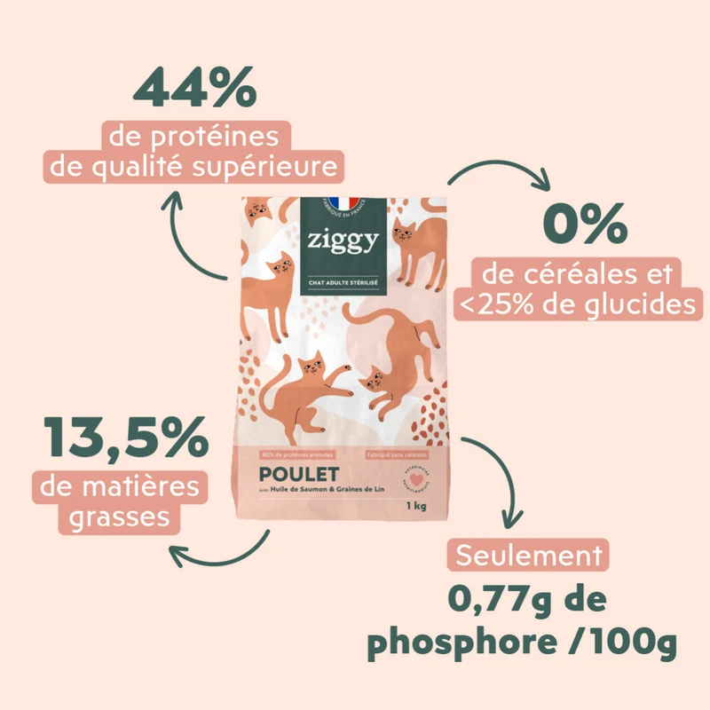 Échantillons Croquettes Chat & Chaton