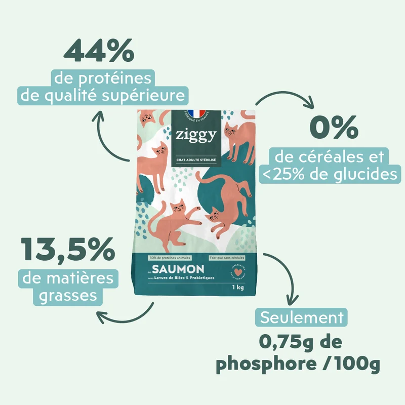 Échantillons Croquettes Chat & Chaton