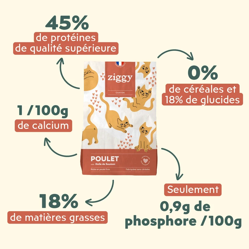 Échantillons Croquettes Chat & Chaton